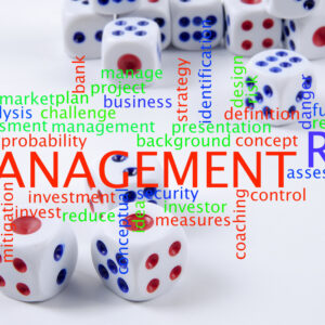 ISO 31000 Enterprise Risk Management