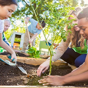 ISO 14001 Environmental Management Systems